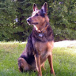 Meet your Posher, Zheng